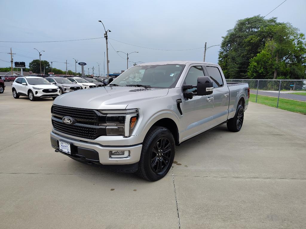 FORD F-150 PLATINUM - 3