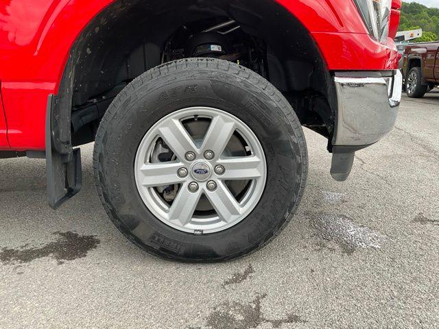 صورة مصغرة 25 لـ 2023 FORD F-150 XL