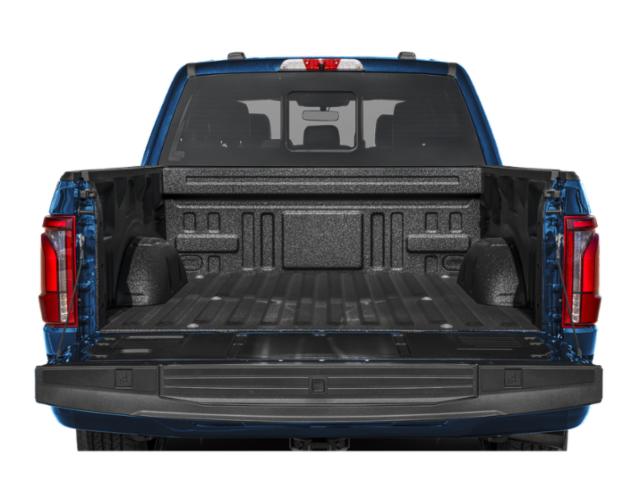 FORD F-150 PLATINUM - 10