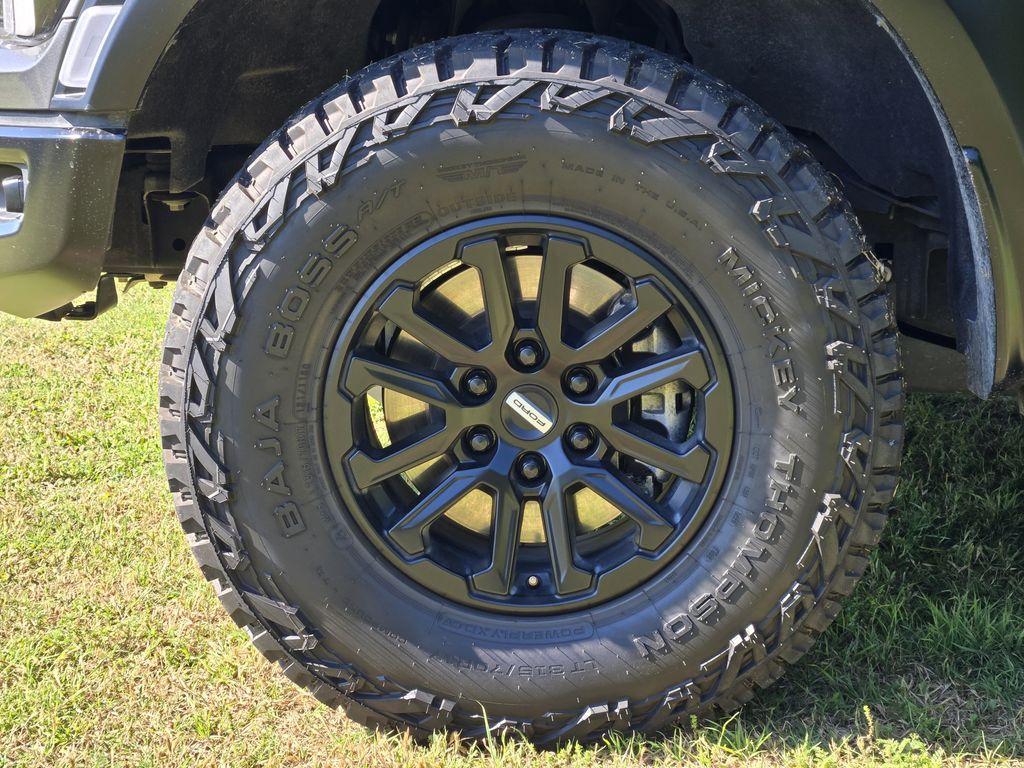 FORD F-150 RAPTOR - 10