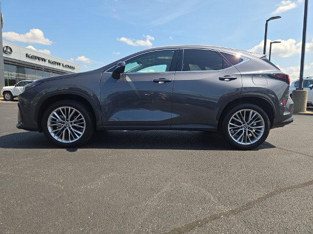 2026 Lexus NX 350 PREMIUM 照片 6
