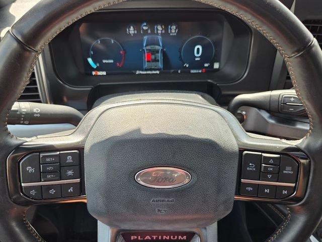 صورة مصغرة 20 لـ 2024 FORD F-250 XL