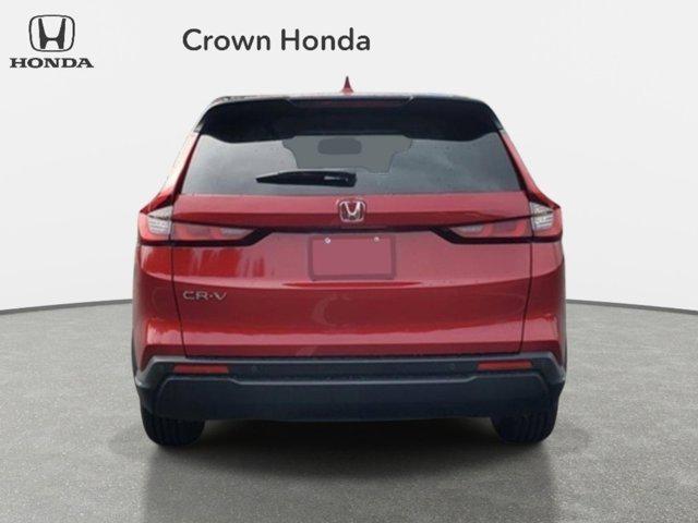 HONDA CR-V EX-L 2WD - 3