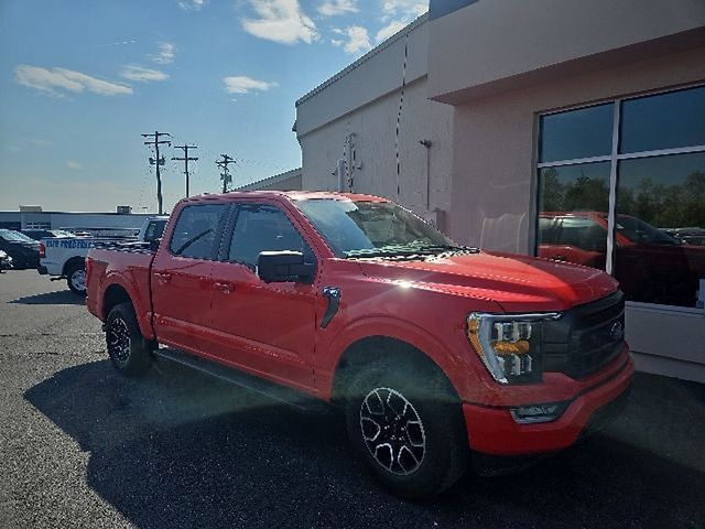 FORD F-150 XLT - 2