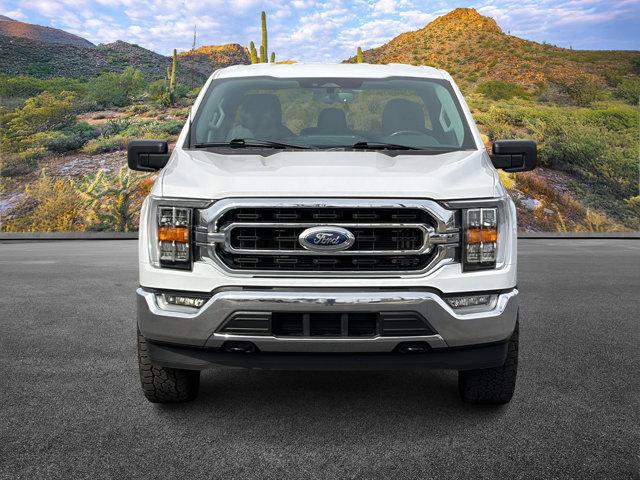 FORD F-150 XLT - 5