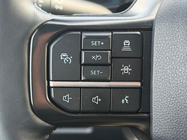 صورة مصغرة 17 لـ 2026 FORD F-250 PLATINUM