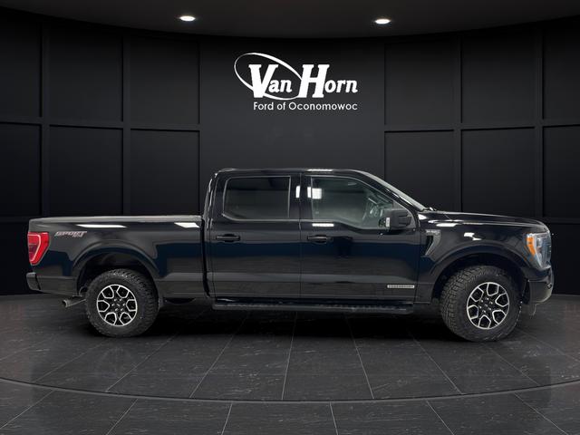 2023 FORD F-150 XLT 照片 9