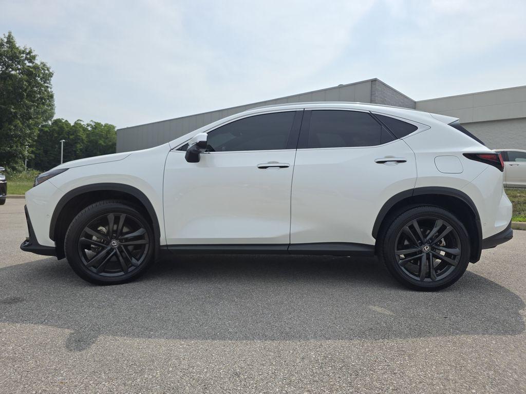 2025 Lexus NX 450H+ LUXURY — фото 7