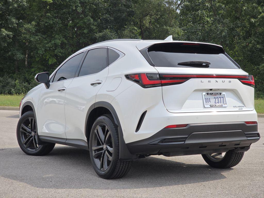 2025 Lexus NX 450H+ LUXURY — фото 9