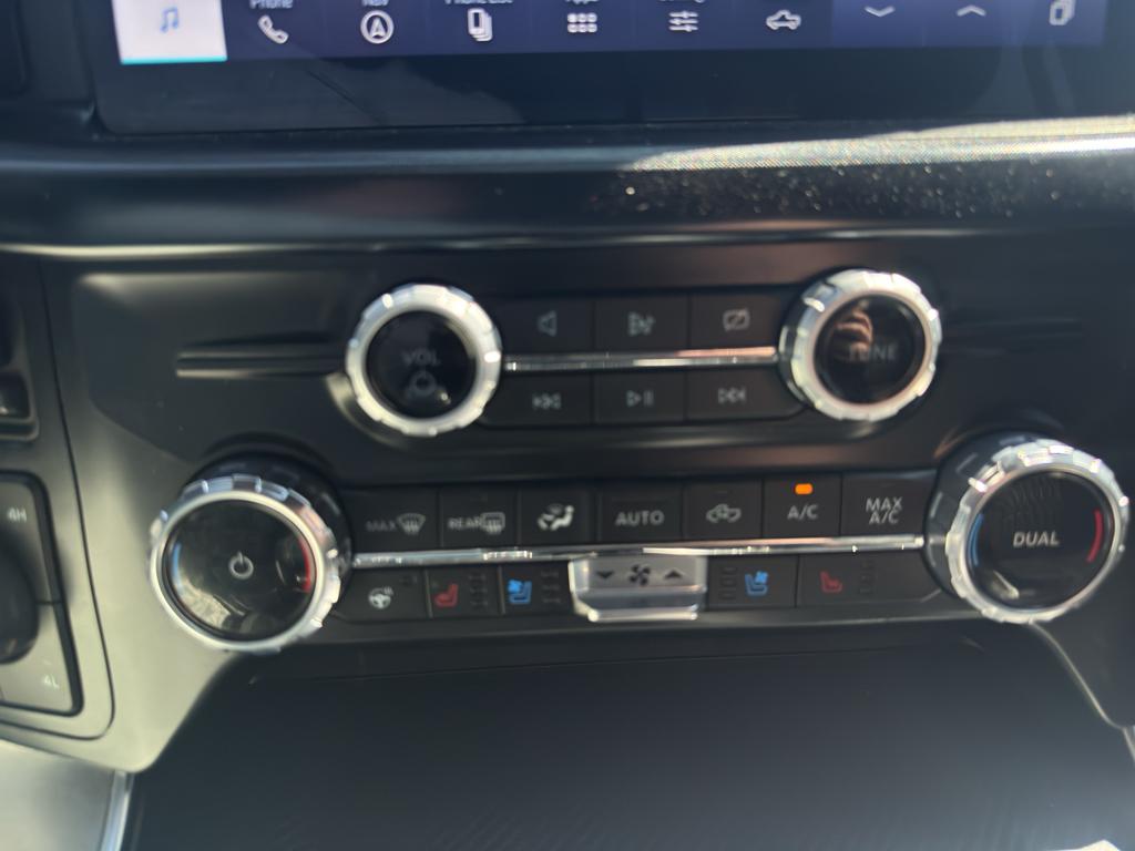 FORD F-150 LIMITED - 10