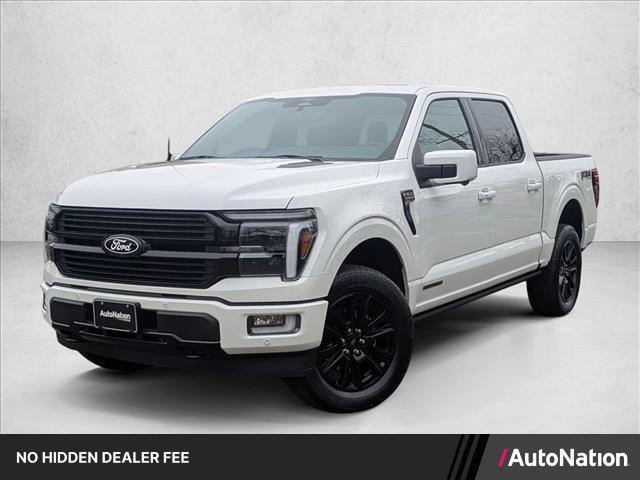 FORD F-150 PLATINUM - 1