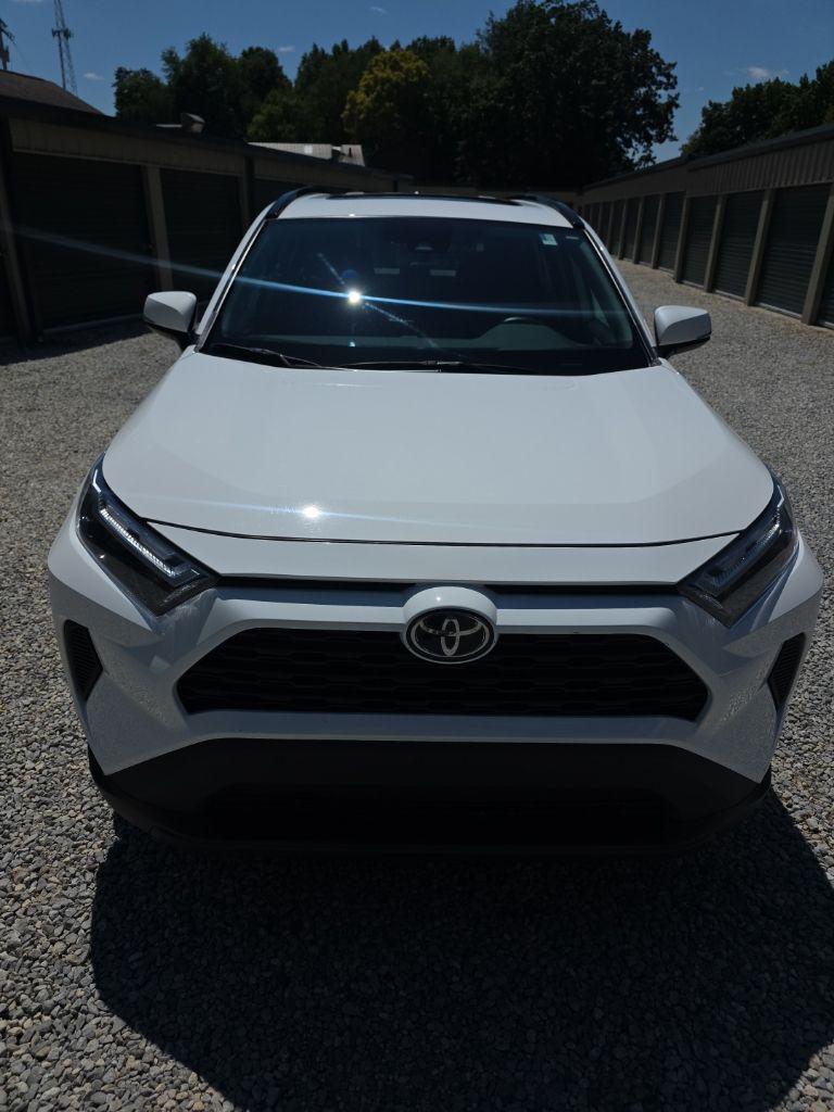 2024 Toyota RAV4 XLE 照片 10