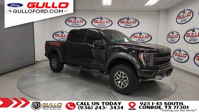 FORD F-150 RAPTOR - 2