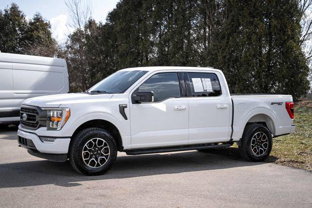 FORD F-150 XLT - 9