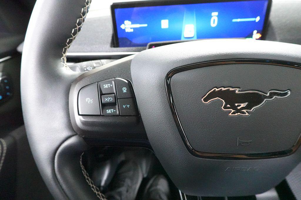 2025 FORD MUSTANG MACH-E GT — миниатюра 15