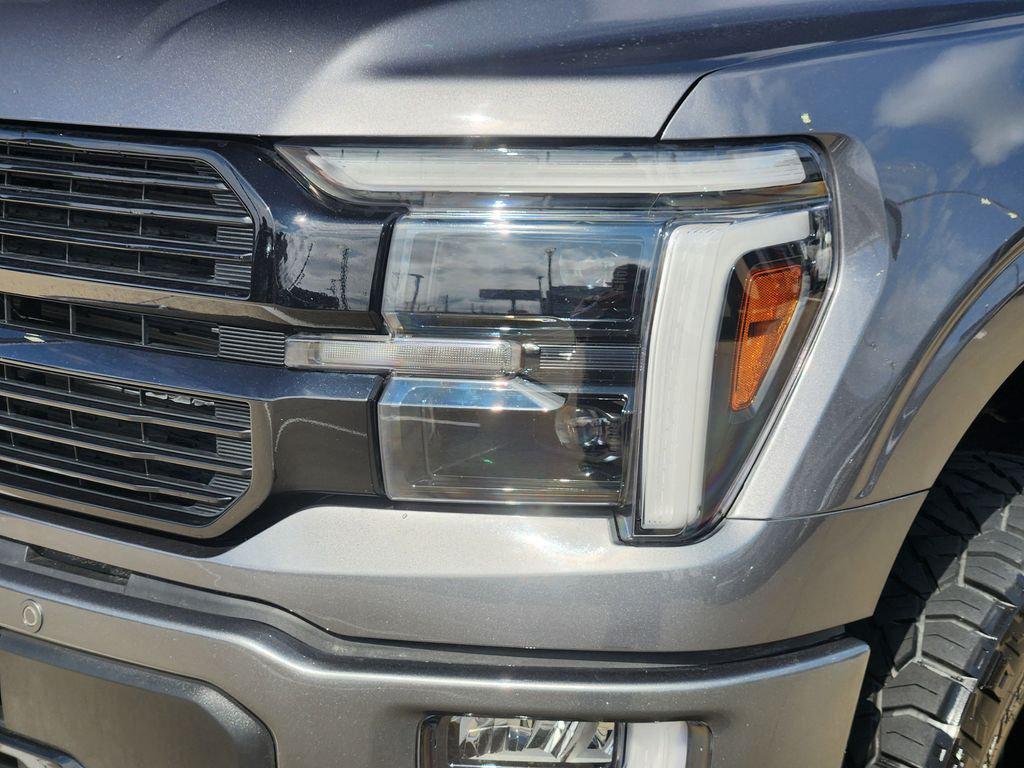 FORD F-150 PLATINUM - 9