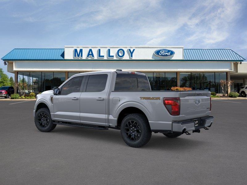 FORD F-150 TREMOR - 4