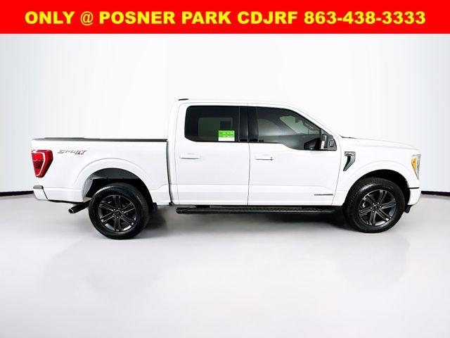 FORD F-150 XLT - 8