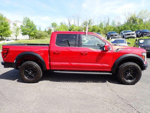 FORD F-150 RAPTOR - 10