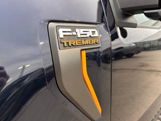 FORD F-150 TREMOR - 10