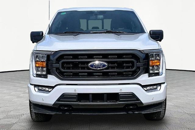FORD F-150 XLT - 3