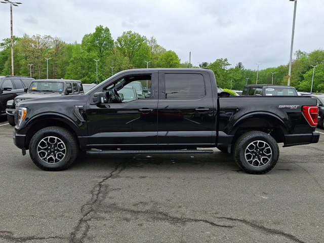 FORD F-150 XLT - 6