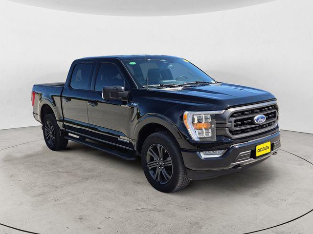 2023 FORD F-150 XLT — фото 3