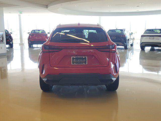 2024 Lexus NX 250 PREMIUM 照片 9