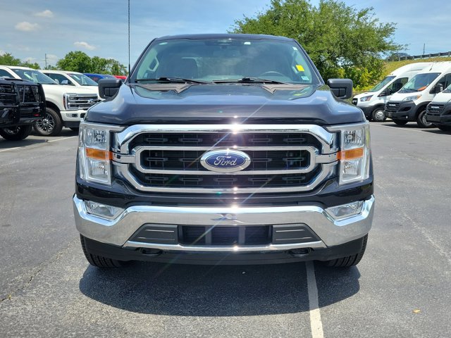 FORD F-150 XLT - 2