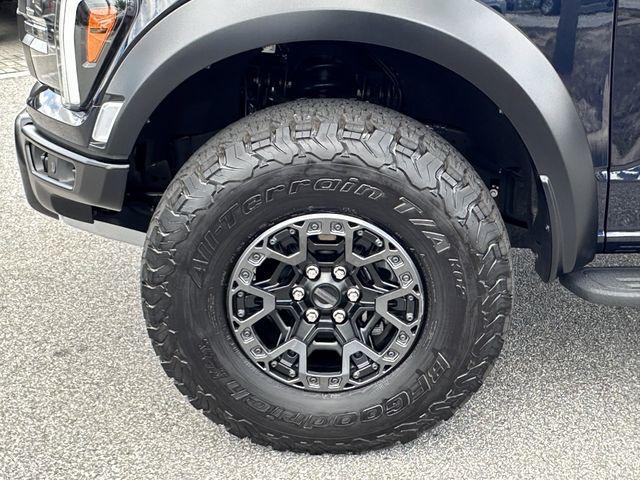 FORD F-150 RAPTOR R - 10