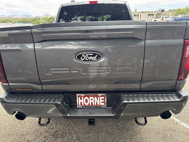 FORD F-150 TREMOR - 6