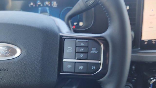 صورة مصغرة 14 لـ 2026 FORD F-250 PLATINUM