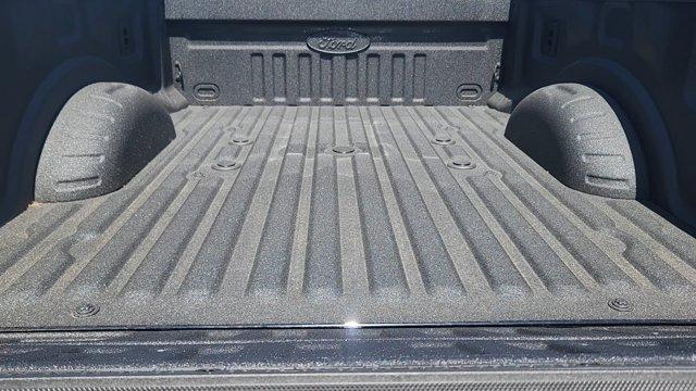 صورة مصغرة 24 لـ 2026 FORD F-250 PLATINUM