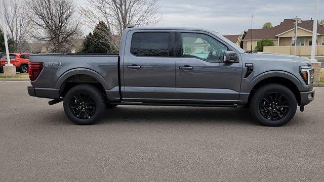 FORD F-150 PLATINUM - 10
