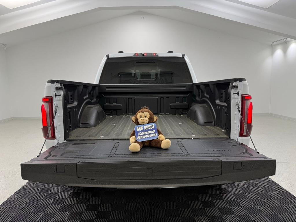 FORD F-150 RAPTOR - 9
