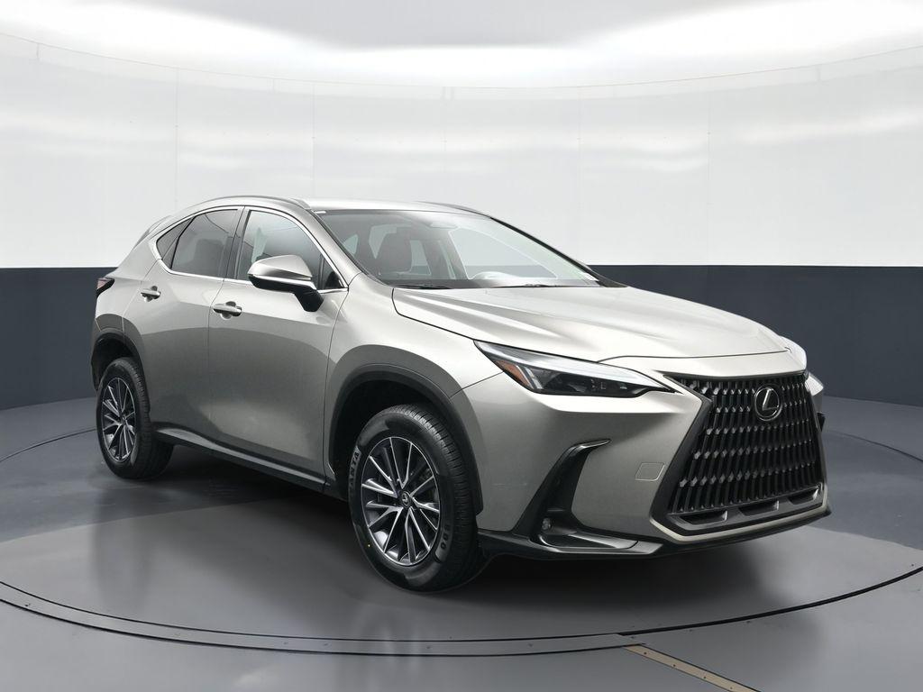 2023 Lexus NX 250 BASE 照片 13