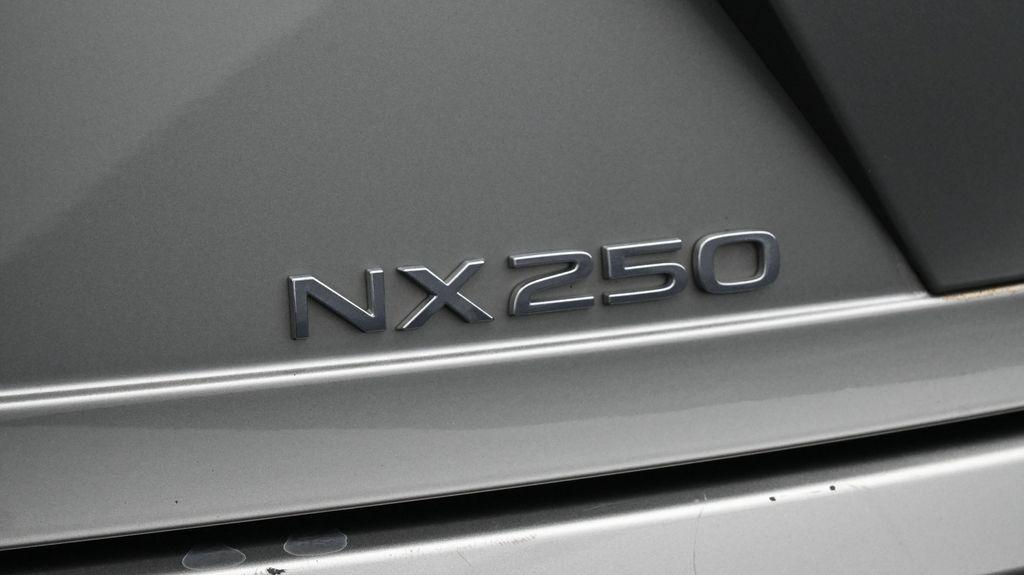 2023 Lexus NX 250 BASE 照片 20