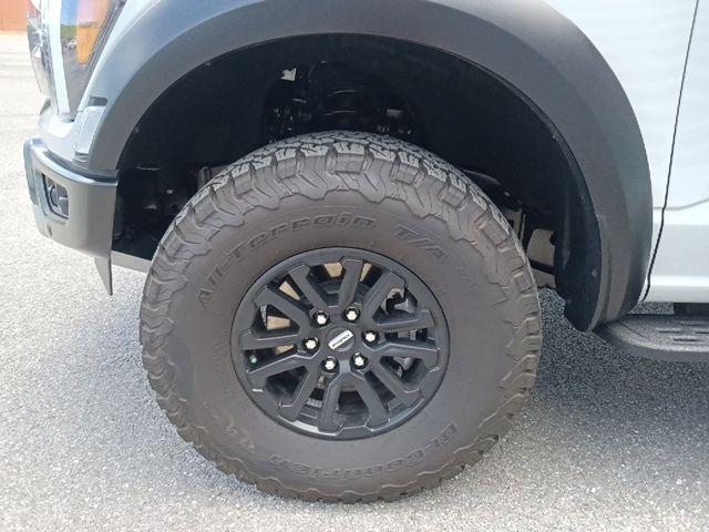 FORD F-150 RAPTOR - 10
