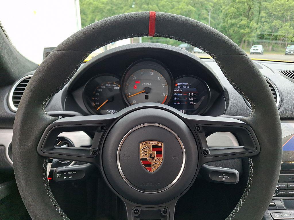 2023 Porsche 718 CAYMAN GT4 — миниатюра 19