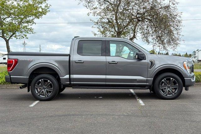 FORD F-150 XLT - 3