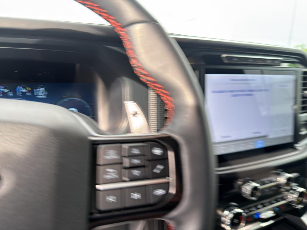 FORD F-150 RAPTOR - 10