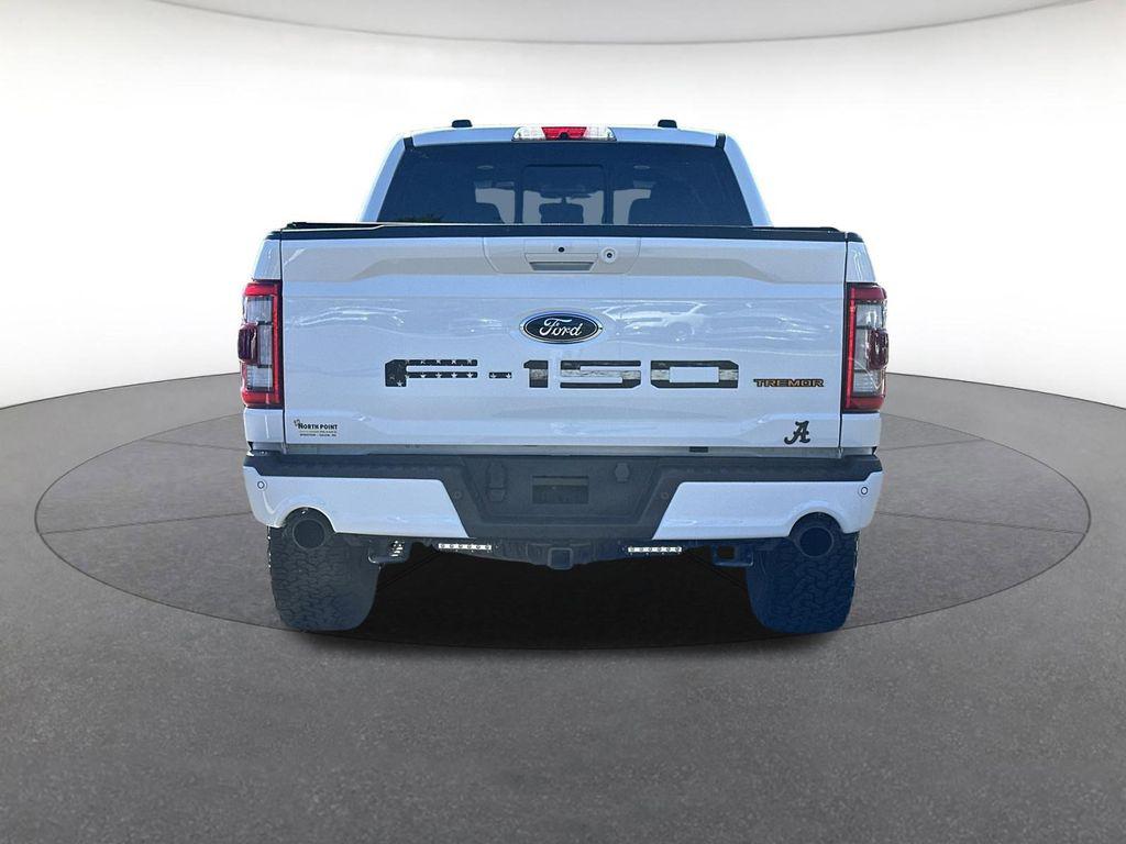 FORD F-150 TREMOR - 4