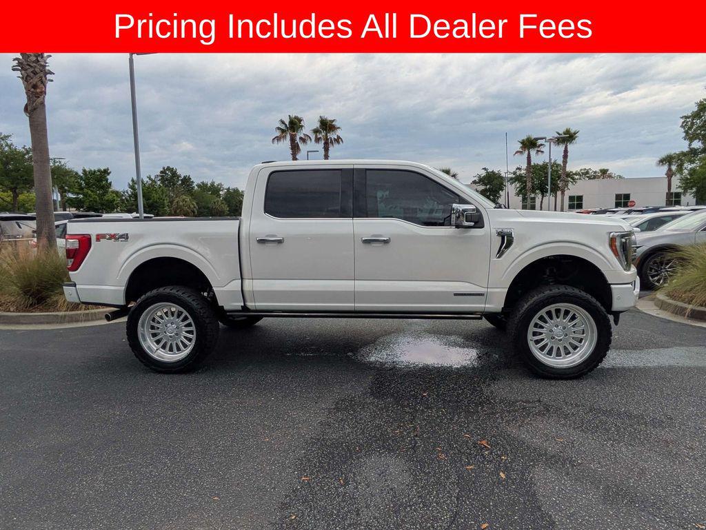 FORD F-150 PLATINUM - 3