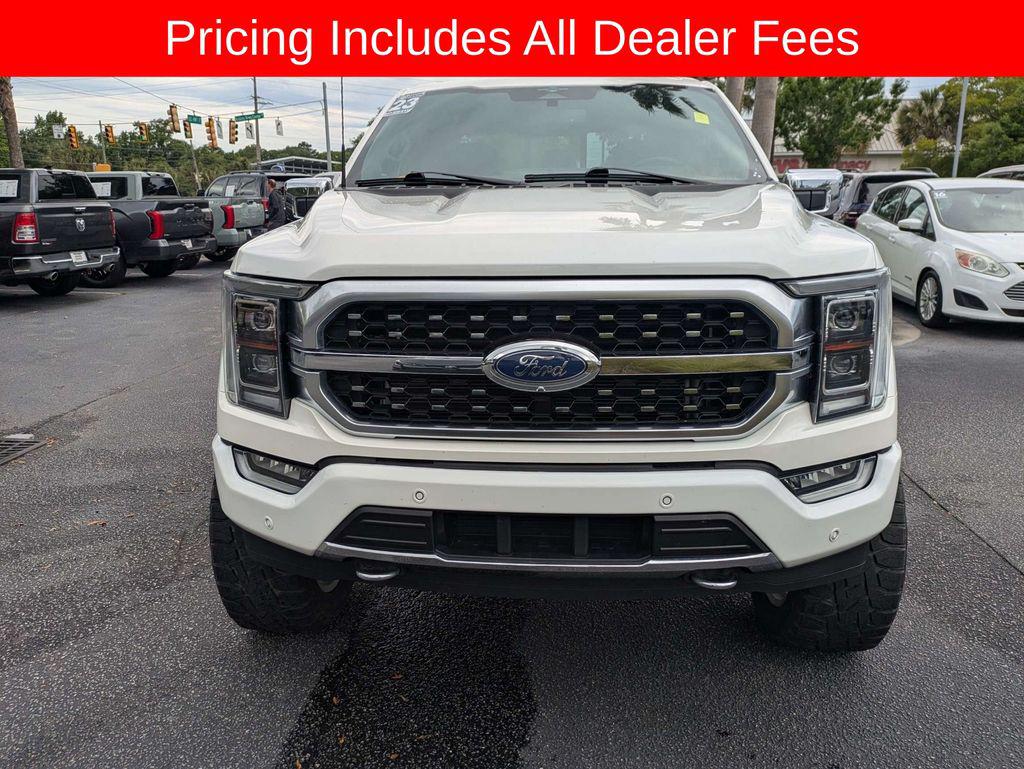 FORD F-150 PLATINUM - 9
