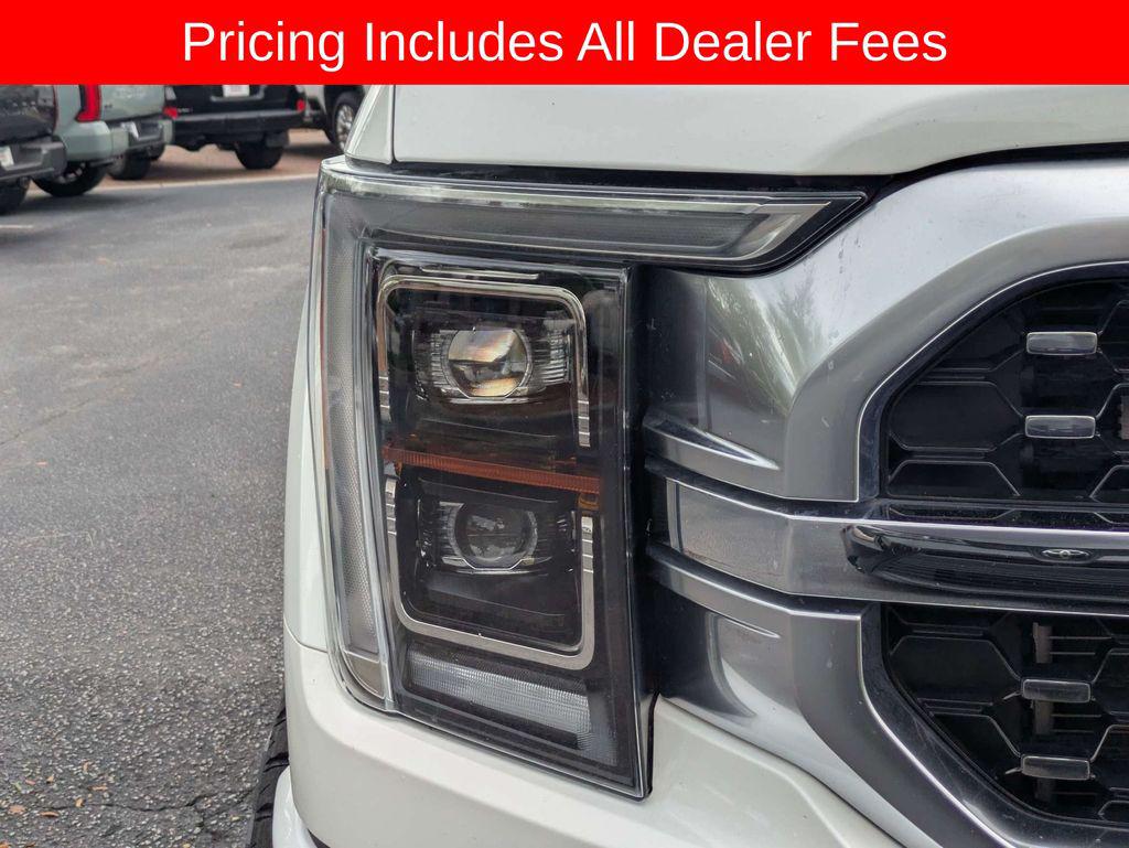 FORD F-150 PLATINUM - 10