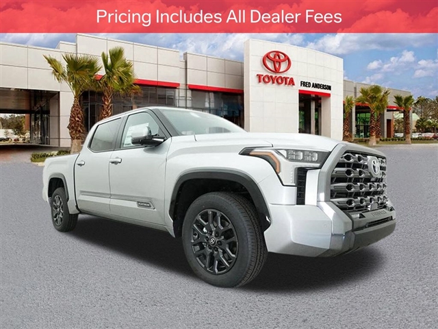 2025 Toyota TUNDRA PLATINUM thumbnail 30