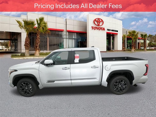 2025 Toyota TUNDRA PLATINUM 照片 5