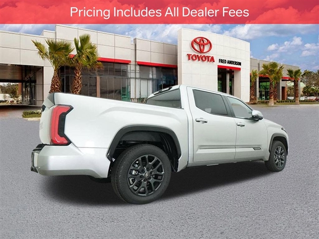 2025 Toyota TUNDRA PLATINUM thumbnail 26
