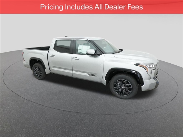 2025 Toyota TUNDRA PLATINUM thumbnail 13
