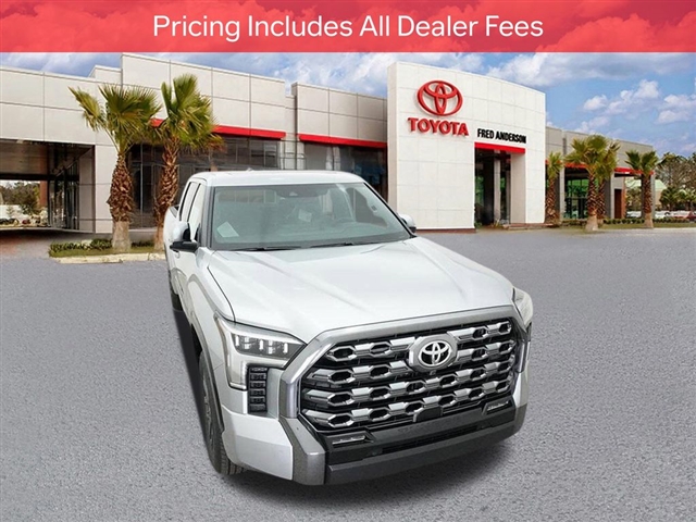 2025 Toyota TUNDRA PLATINUM thumbnail 15